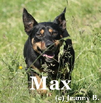 max5