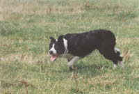 bild10