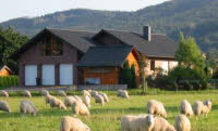 bild18