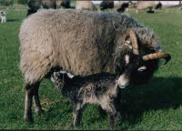 bild27