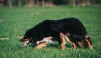 bild28