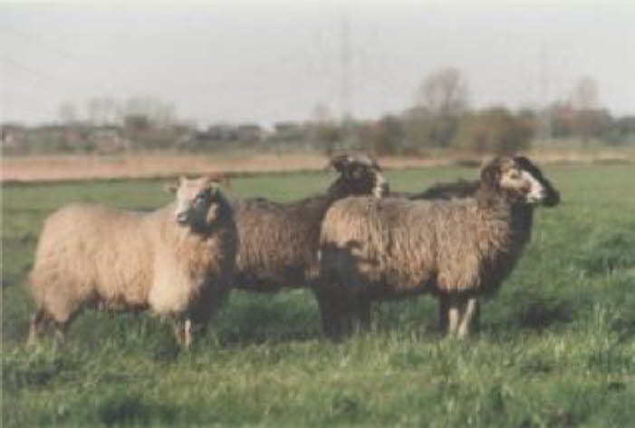 bild5