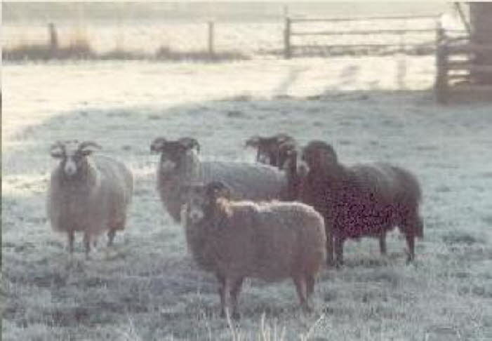 bild6
