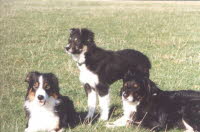 bild8