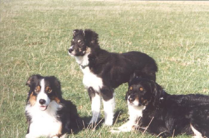 bild8