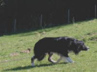 bild9