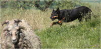 max_2